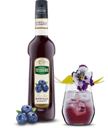 TEISSEIRE SYRUP Blueberry